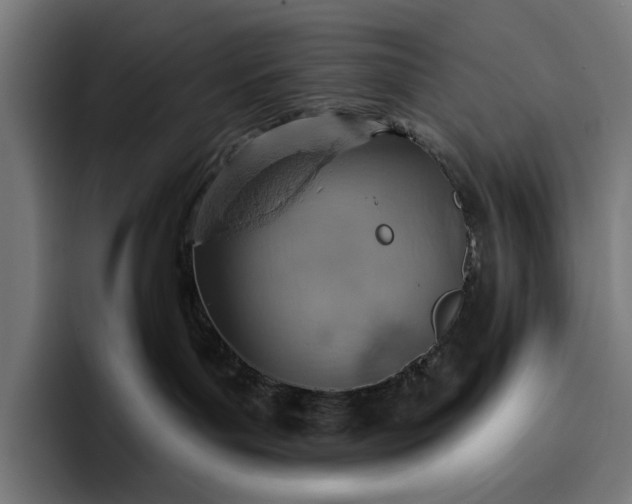 X0000096690143200802191435