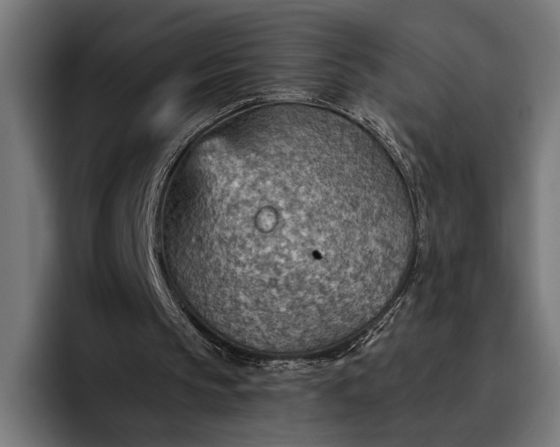 X0000096690145200802191435