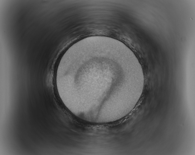 X0000096690146200802191435