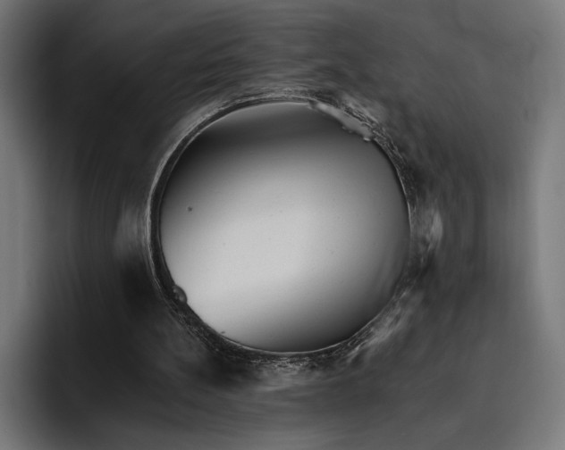 X0000096690148200802191435