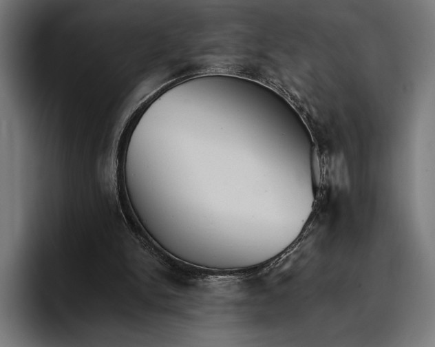 X0000096690150200802191435