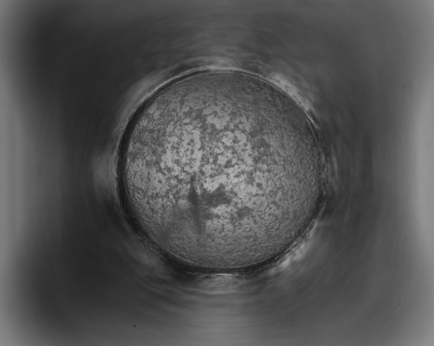 X0000096690151200802191435