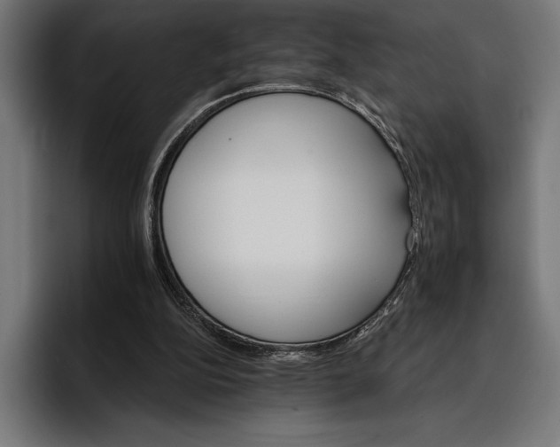 X0000096690152200802191435