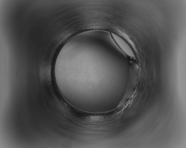 X0000096690154200802191435