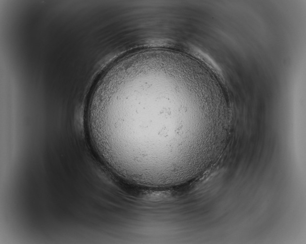 X0000096690155200802191435