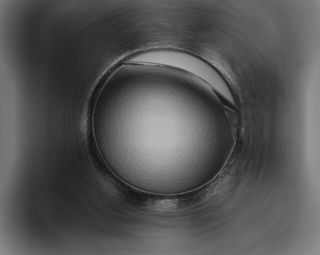 X0000096690156200802191435