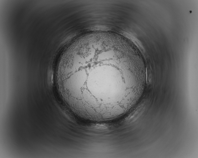 X0000096690157200802191435