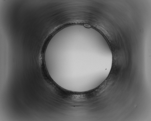 X0000096690160200802191435