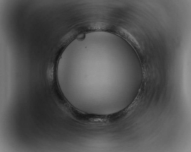 X0000096690163200802191435