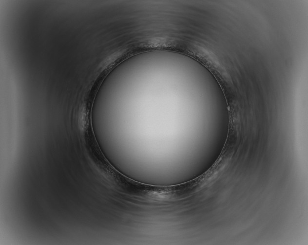 X0000096690164200802191435