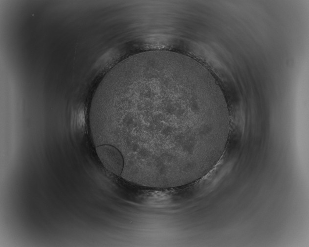 X0000096690166200802191435