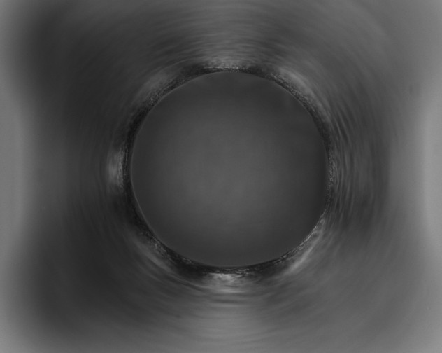 X0000096690167200802191435