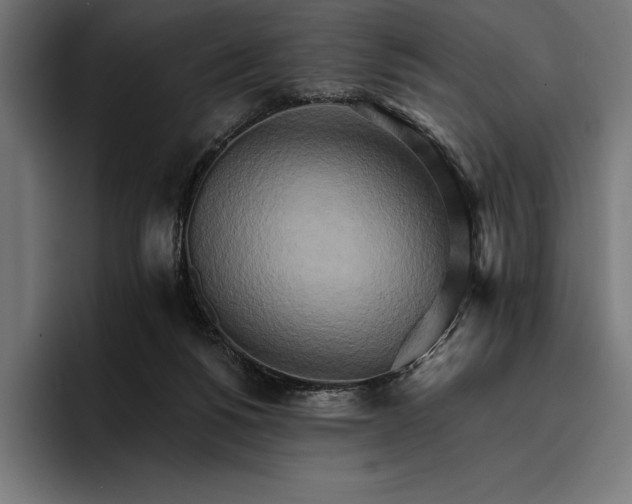 X0000096690168200802191435