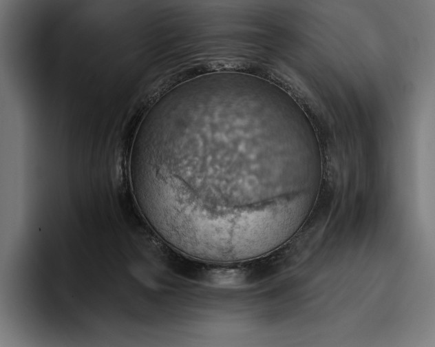 X0000096690169200802191435