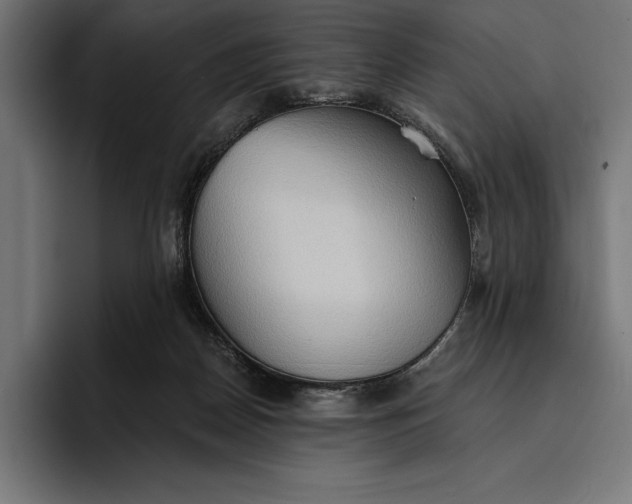 X0000096690170200802191435