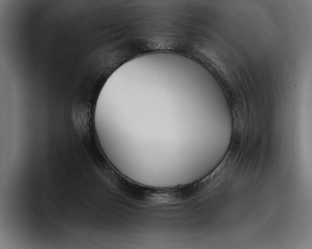 X0000096690171200802191435