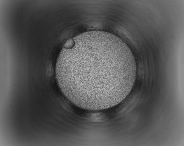 X0000096690173200802191435