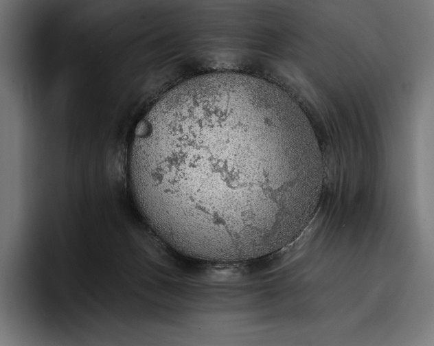 X0000096690175200802191435