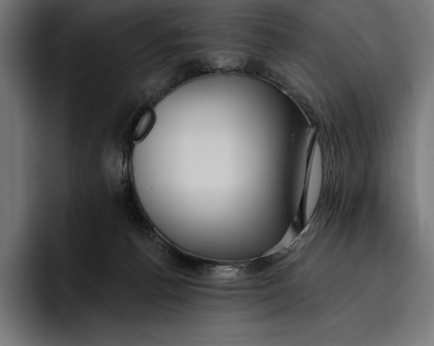 X0000096690176200802191435