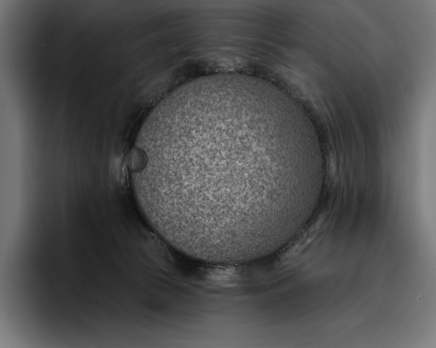 X0000096690177200802191435