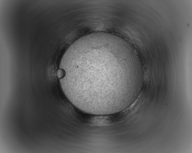 X0000096690179200802191435