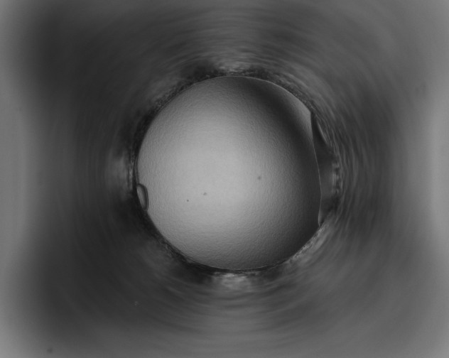 X0000096690180200802191435