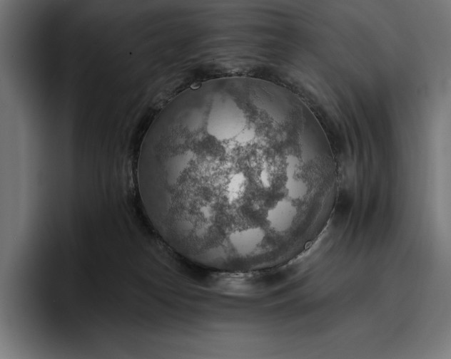 X0000096690182200802191435