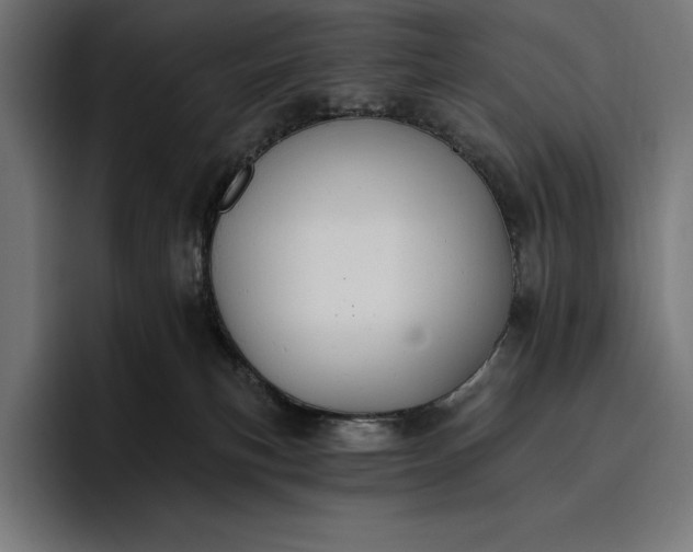 X0000096690183200802191435