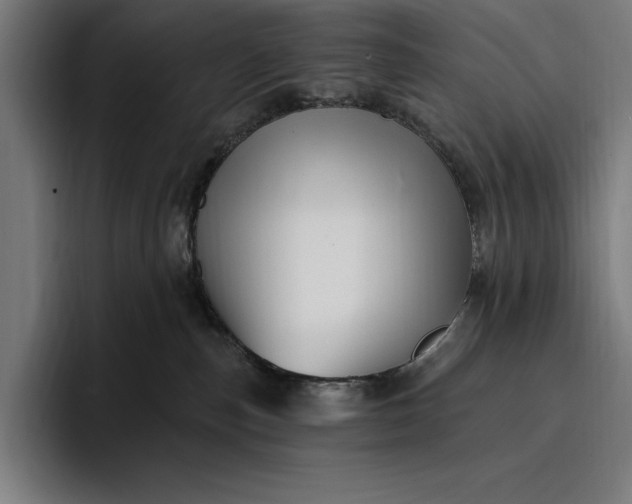 X0000096690187200802191435