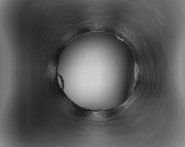 X0000096690188200802191435