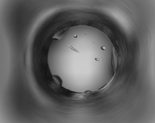 X0000096690190200802191435