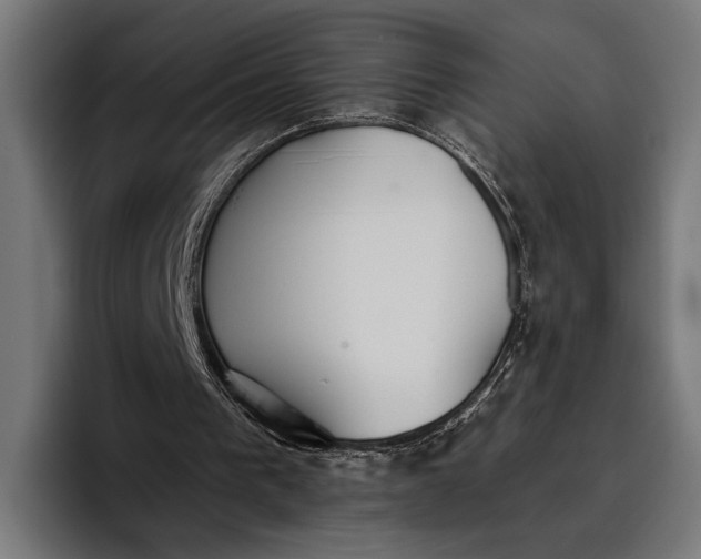 X0000096690193200802191435