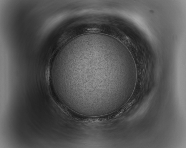 X0000096690194200802191435