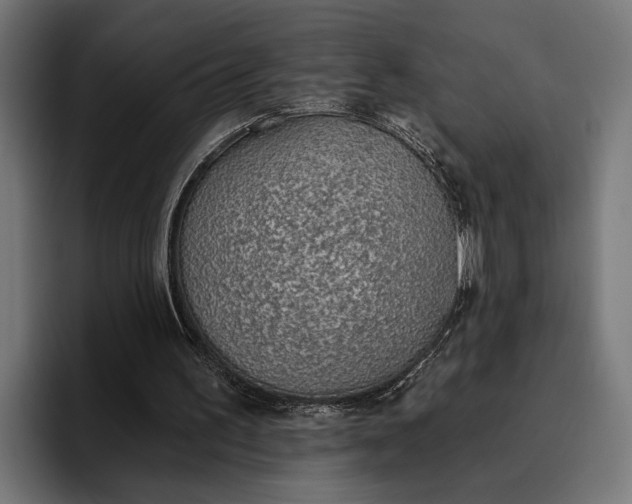 X0000096690195200802191435