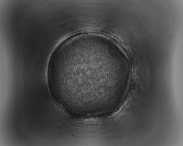 X0000096690196200802191435