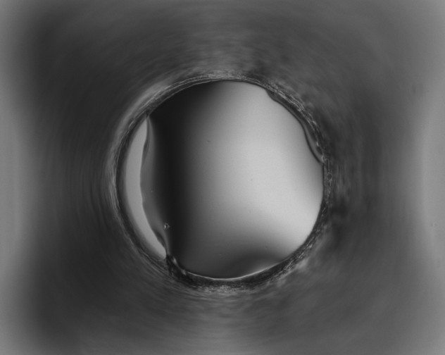 X0000096690197200802191435