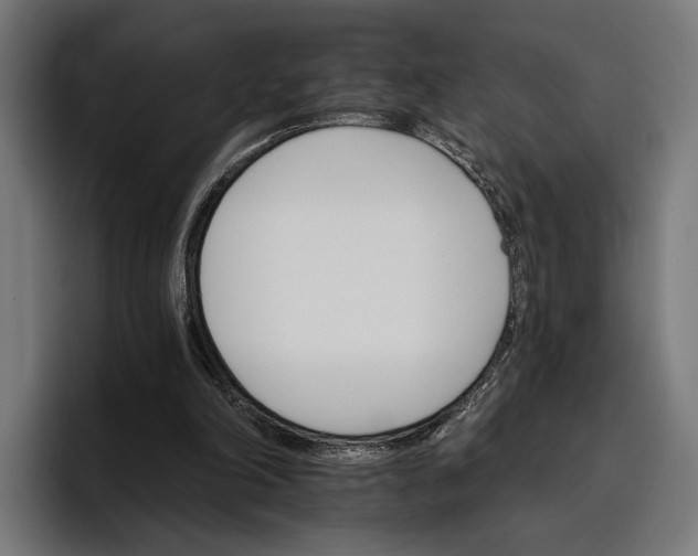 X0000096690198200802191435