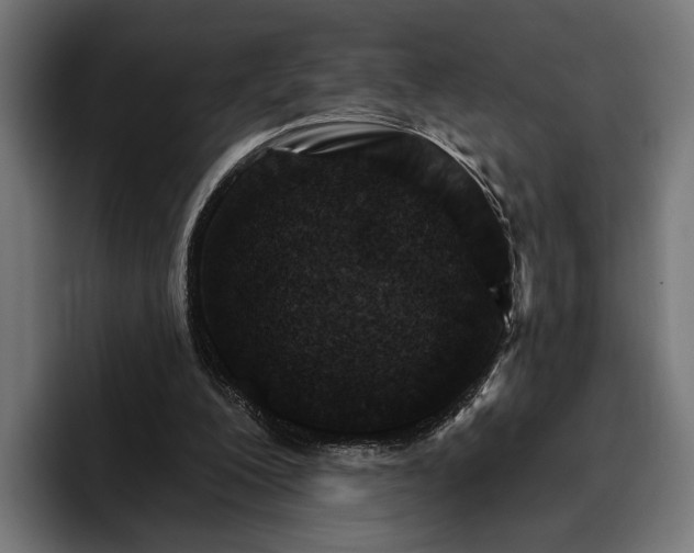 X0000096690200200802191435