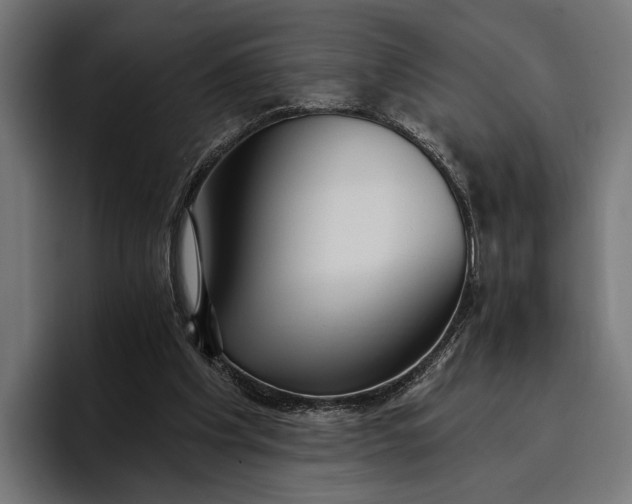 X0000096690201200802191435