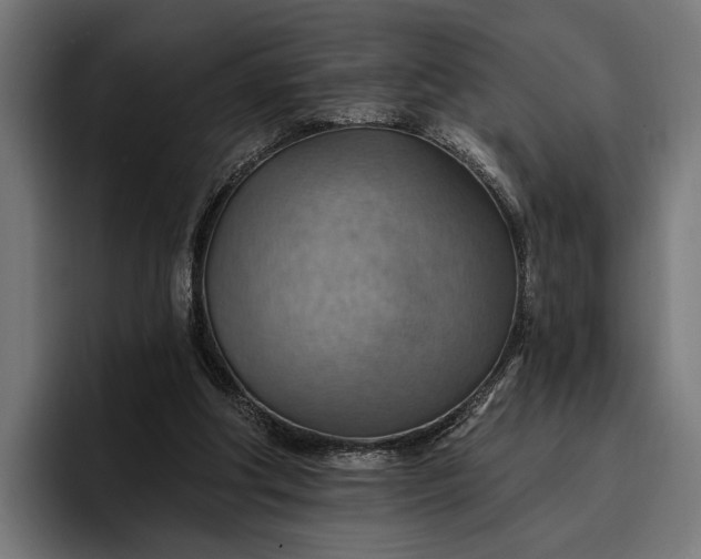 X0000096690202200802191435