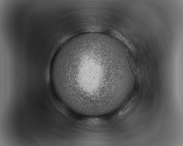 X0000096690203200802191435