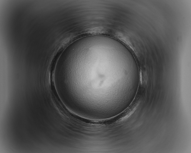 X0000096690205200802191435