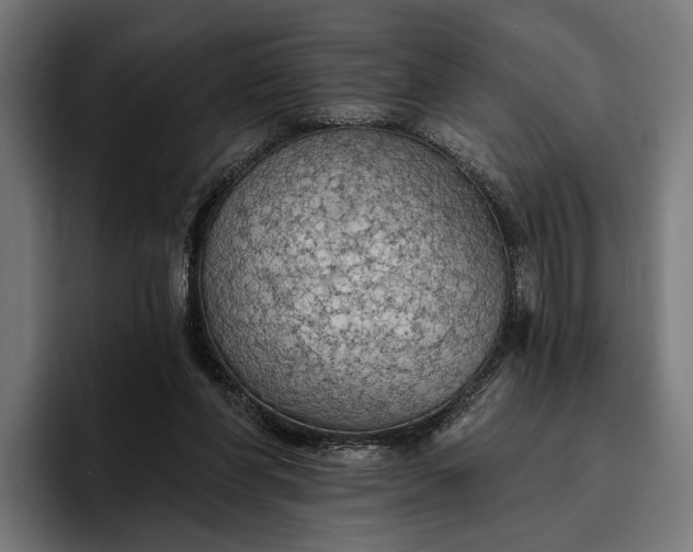 X0000096690206200802191435