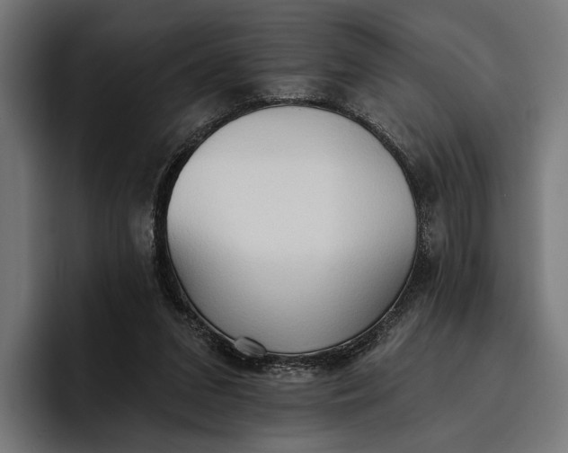 X0000096690207200802191435