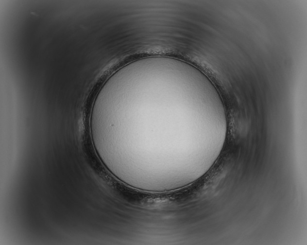 X0000096690208200802191435