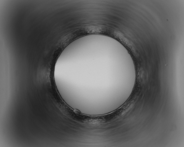 X0000096690209200802191435