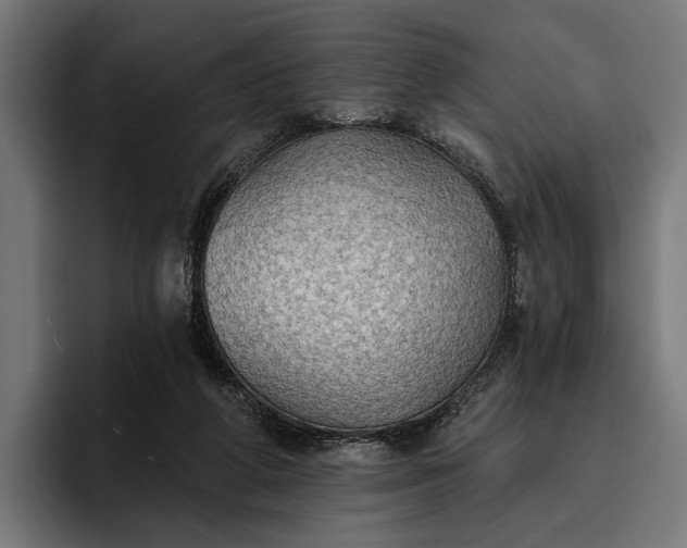 X0000096690210200802191435