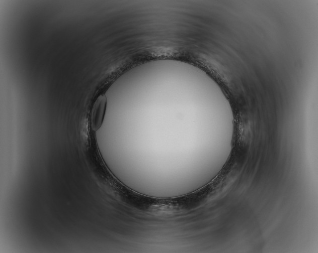 X0000096690211200802191435