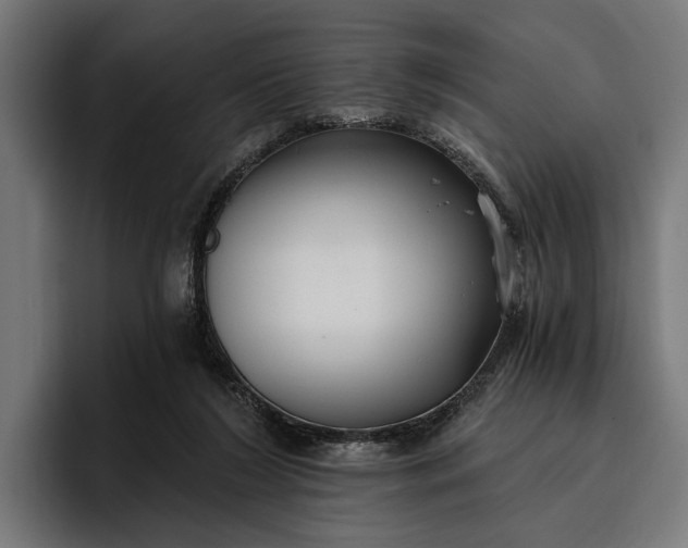 X0000096690212200802191435