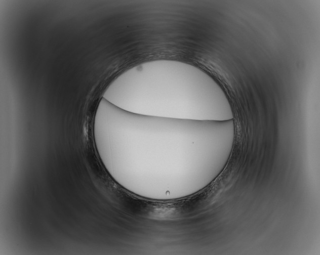 X0000096690214200802191435